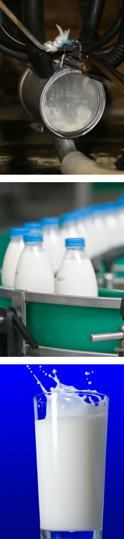 milk quality